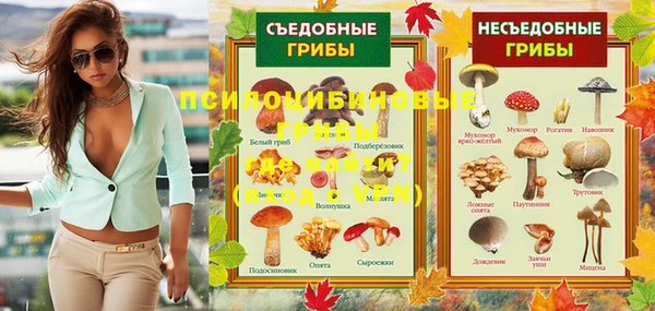 гашик Аркадак