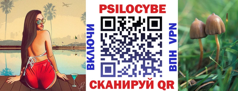 Псилоцибиновые грибы прущие грибы  ссылка на мегу онион  Рыбное 